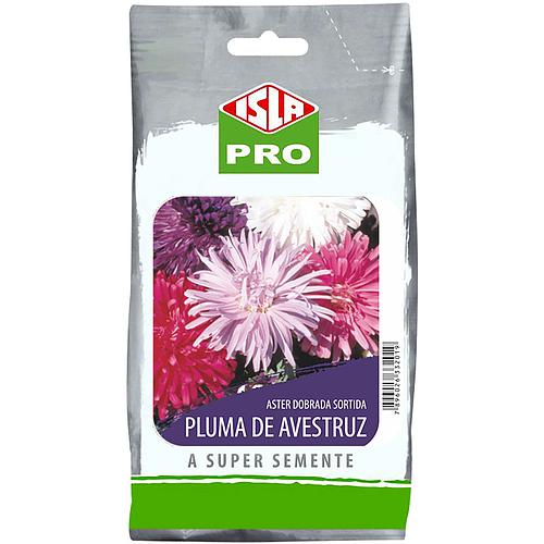 Aster-da-China Pluma de Avestruz Dobrada Sortida