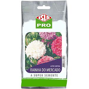 Aster-da-China (Rainha do Mercado) Sortida