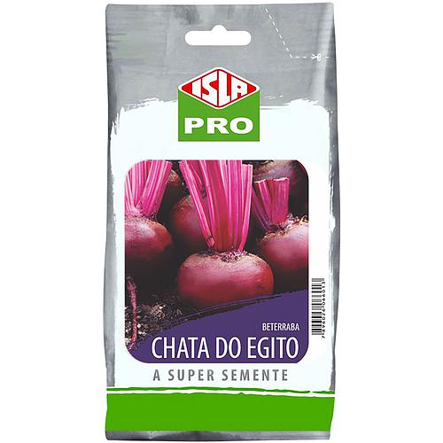 Beterraba Chata do Egito