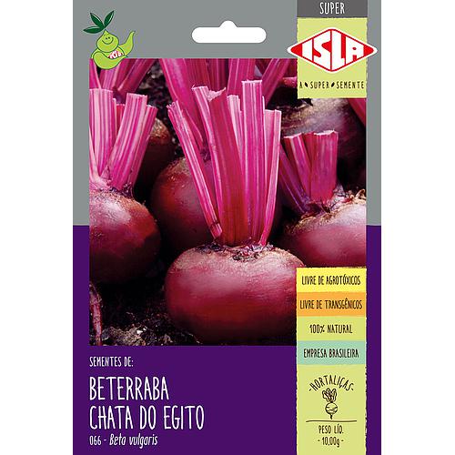 Beterraba Chata do Egito