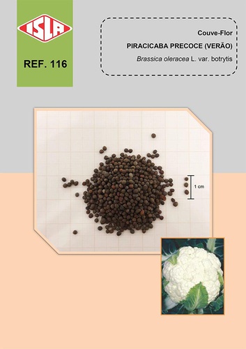 Couve-Flor Verao Piracicaba Precoce
