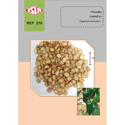 Pimentao Itapua 501