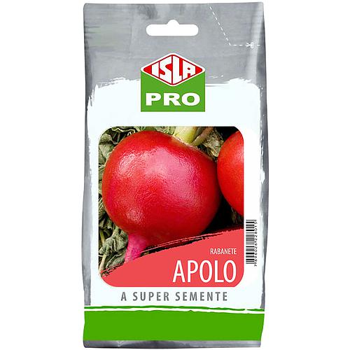 Rabanete Vermelho Apolo