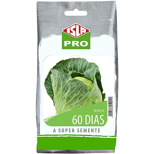 Repolho 60 Dias