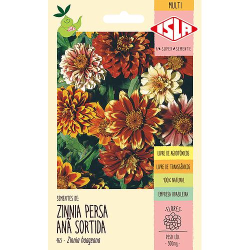 Zinia Persa Ana Sortida